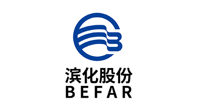 濱化股份 濱化股份